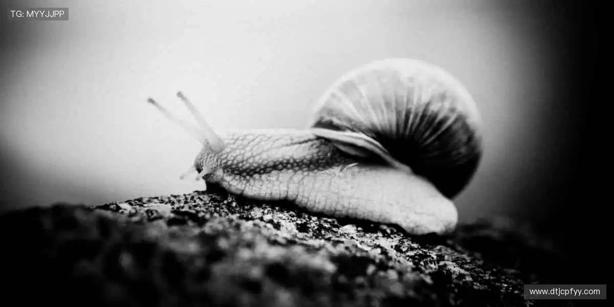 潮流周边,不止于看,更要亲身感受!🎯👕